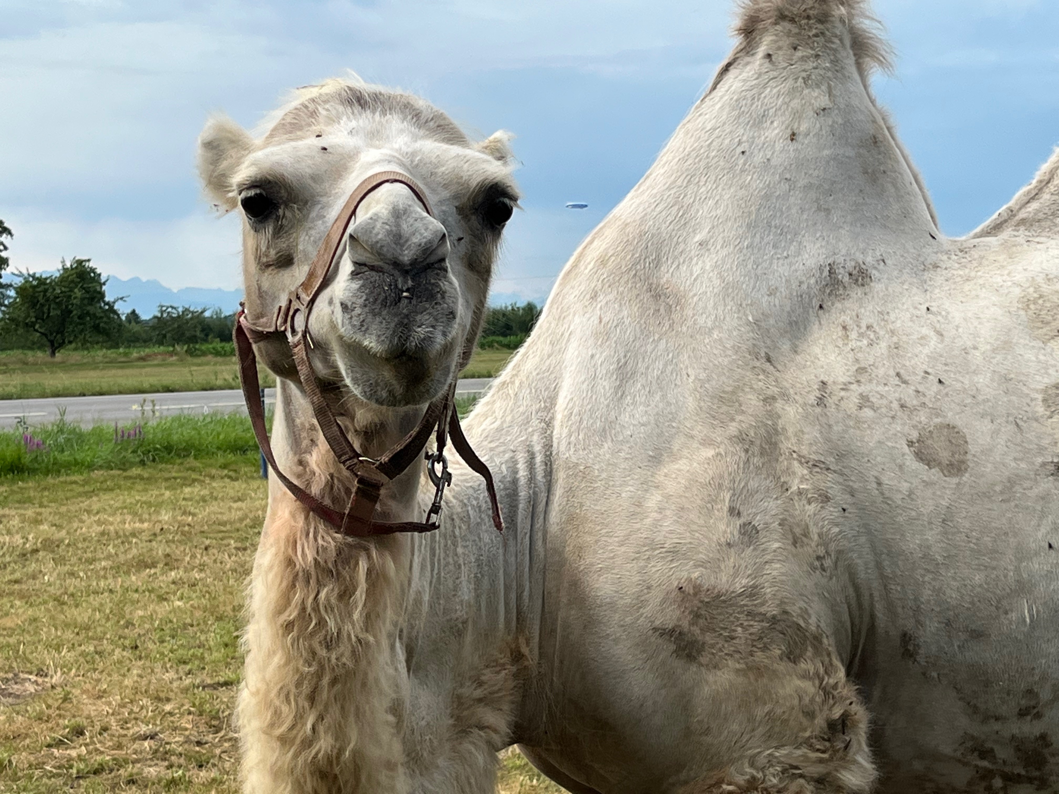 Katrin Seglitz - Titelbild 